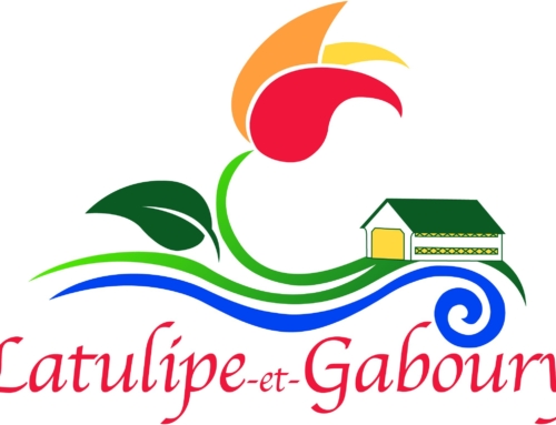 Avis public d&rsquo;adoption de 3 règlements